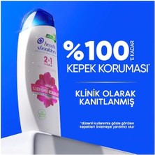 Data Store Head & Shoulders Ipeksi Yumuşaklık 2'si 1 Arada Kepek Karşıtı 330ML Şampuan