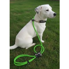 Balkonda Köpek Gezdirme Kayışı & Boyun Tasması Tek Ürün 6 cm Çap Iskoto Halat