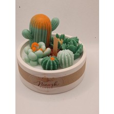 Silent Garden Jr Doğal Kaktüs Görünüm Soya Mum Ahşap Fitil