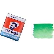 Talens Van Gogh Sulu Boya Tablet Hooker Green Deep 645