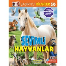 Hatıra Kutusu 3D Şaşırtıcı Bilgiler - Sevimli Hayvanlar