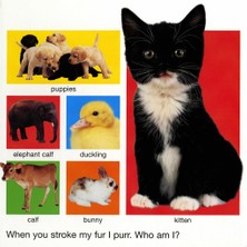 Priddy Books Roger Priddy'in My Big Animal Book Ciltsiz Normal Boy 10 Sayfa İngilizce Yayın 2019