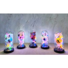 Mercansa Işıklı Müzikli Fanus Içinde Gül Buketi