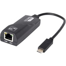 Skygo ZR203 USB 3.0 1011 Type-C Ethernet Çevirici