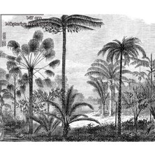 Arterior Wallpaper Müşteri Özel Sipariş Orman Posteri 147X121