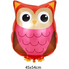 Parti Station Orman Woodland Baykuş Konsept Doğum Günü 5 Yaş Balon Set Baykuş Tema Folyo Balon Set