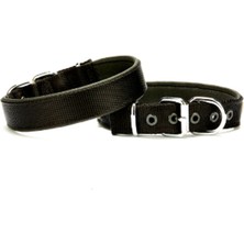 Subutu Köpek Boyun Tasma 3*55 cm Siyah