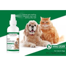 Subutu Perfeck Kedi ve Köpek Kiraz Çiçeği Parfüm 100 ml
