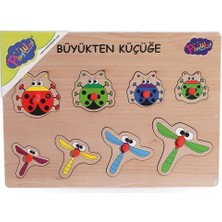 Eco Lounge 131-132 Ony Ahşap Tutmalı Puzzle Büyükten Küçüğe