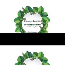 Eco Lounge Konserve Bahçem Evde Konservede Dereotu Yetiştirme Kiti Aparatı