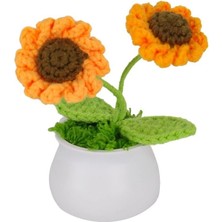 Eco Lounge Fl-3 12Lİ Kroşe Örgü Ayçiçeği -Birliktoys