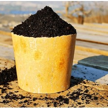 Maraş Market Kahramanmaraş Ipek Isot Biber - 500 gr