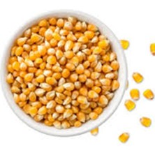 Maraş Market Patlak Mısır