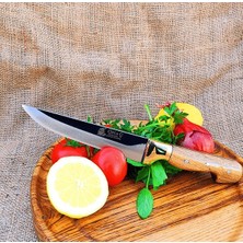 Hartlap Sarı Bilezik Mutfak Bıçağı - No 2