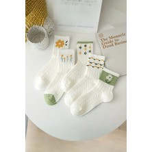 Hitit Socks Kadın 5 Çift Yüksek Pamuklu Nefes Alabilen Esnek Kolej Soket Çorap