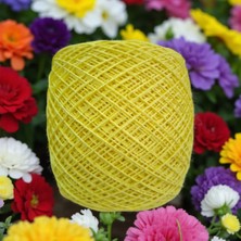 Kırlangıç Ince Pamuk Koton El Örgü Ipi 160 gr