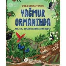 Belirtilmemiş Yağmur Ormanında