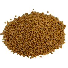 Subutu Hardal Tohumu Tane Doğal Sarı 100 gr Paket