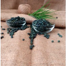 Maraş Market Menengiç Tane(1kg)