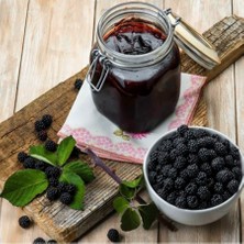 Maraş Market Saf Karadut Pekmezi (Urmu Dut ) 500 Gr.