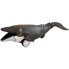 Subutu - Sürtmeli̇ Deni̇z Hayvanlari 16'li Stand