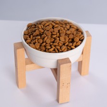 Pawstar Beyaz Ahşap Standlı Seramik Mama/ Su Kabı Kedi Köpek Mama Su Kabı