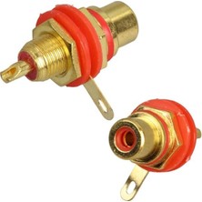 Najmaddin IC-261C Rca Gold Şase