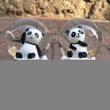Najmaddin Büyük Boy Panda Kar Küresi