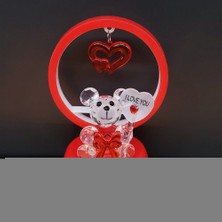 Najmaddin Işıklı Kırmızı I Love You Ayıcık