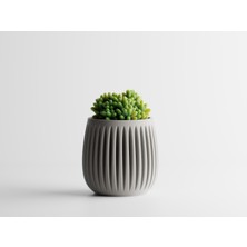 Atheron 3D Coluna Saksı