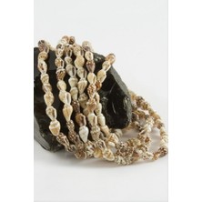 Zero Land Storozde Istiridye Deniz Kabuğu 1 Dizi - Beyaz