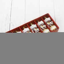 Najmaddin Dekoratif 6'lı Beyaz Mini Atlı Karınca