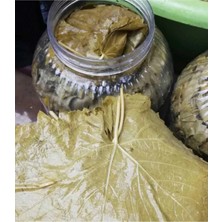 Gaziantep Ev Yapımı Salamura Sarmalık Yaprak 5 kg