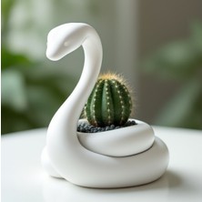 Razmo Egzotik Yılan Figürlü Dekoratif Saksı ve Vazo - Mistik Yılan Çiçeklik, Sanatsal Masaüstü Objesi, Modern Gotik Ev Dekoru, Estetik Sukulent ve Kaktüs Snake Flower Pot – Unique Vase & Decor