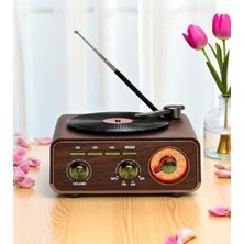 Rigour Nostaljik Tasarım Plak Çalar Görünümlü Radyolu Bluetooth Hoparlör Retro Müzik Plak