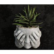 Razmo Zarif Kadın Figürlü Duvar Saksısı - Minimalist Dekoratif Sukulent ve Çiçeklik, Modern Duvar Dekoru