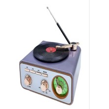 Rigour Nostaljik Tasarım Plak Çalar Görünümlü Radyolu Bluetooth Hoparlör Retro Müzik Plak radyo