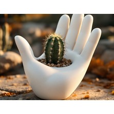 Razmo Avuç Içi Tasarımlı Dekoratif El Saksı - Modern Sukulent ve Kaktüs Çiçekliği, Sanatsal El Figürlü Duvar ve Masa Dekoru, Estetik Hediyelik Saksı - Flower Pot In The Shape Of A Hand (Beyaz)
