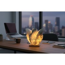 Lale Model Tuz Lambası 2kg-3kg