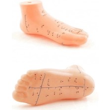 Epilons Ayak Akupunktur Bölgesi Maketi