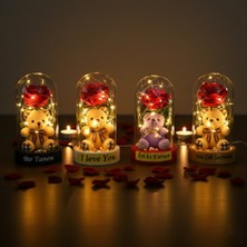 Najmaddin Ayıcıklı Ledli Gül Fanus