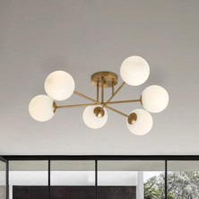 Ronisu Aydınlatma Santa Rosa 6 Başlıklı Plafonyer Avize Ra-Avz- 2681-35-49