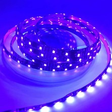 PINUKS Şerit LED Dış Mekan 5050 24V 5mt 3 Çipli M/60 300 LED Mor Oto Aksesuar Premium