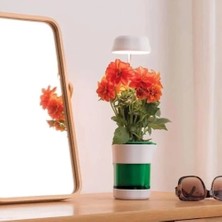 K-Yonlineticaret Hızlı Bitki Yetiştirme Saksısı