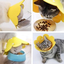 Smillingdays Evcil Hayvan Xl Boy Keçe Elizabeth Yakalığı