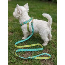 Balkonda Köpek Göğüs Tasması Ayarlanabilir ve Gezdirme Kayışı 2'li Set Minik & Küçük Irk Mavi - Sarı