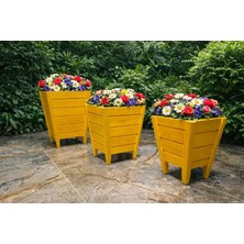 Ceritoğlu 3'lü Ahşap Dekoratif Saksı-Çiçeklik-Iç Ortam-Dış Ortam-Renk Seçenekleri