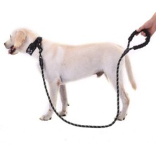Reflektörlü Köpek Tasması 130 Cm.