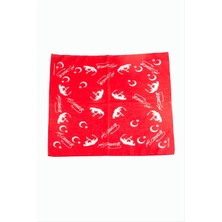 Starseven Ayyıldız Desenli Bandana 50*50