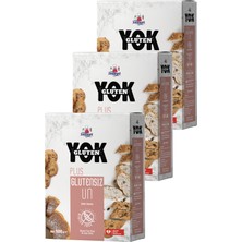 Sinangil Glutensiz Un Plus 500 gr x 3 Adet
